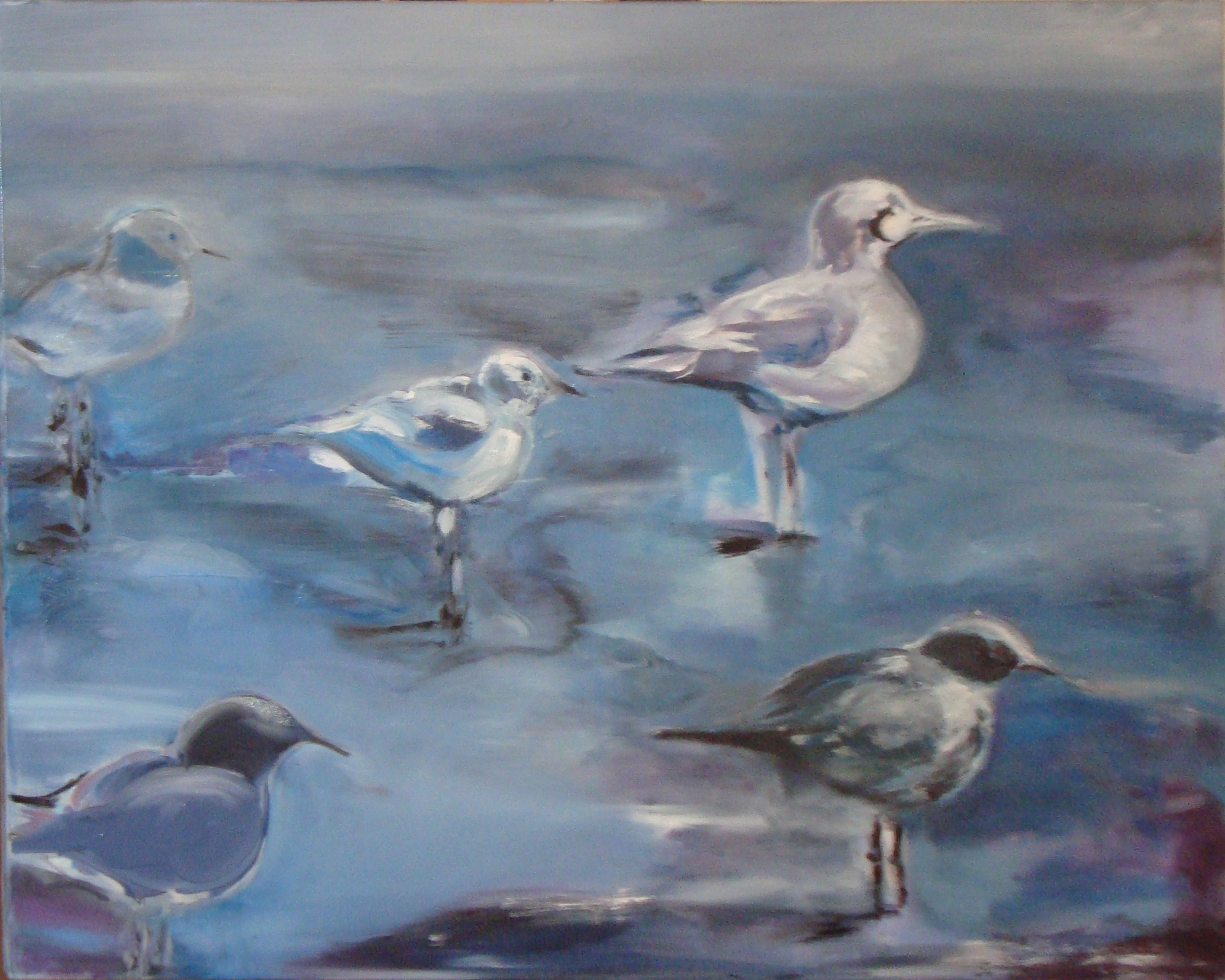 Seevögel im Watt 03.11.12 Öl auf Leinwand 100 x 80 cm