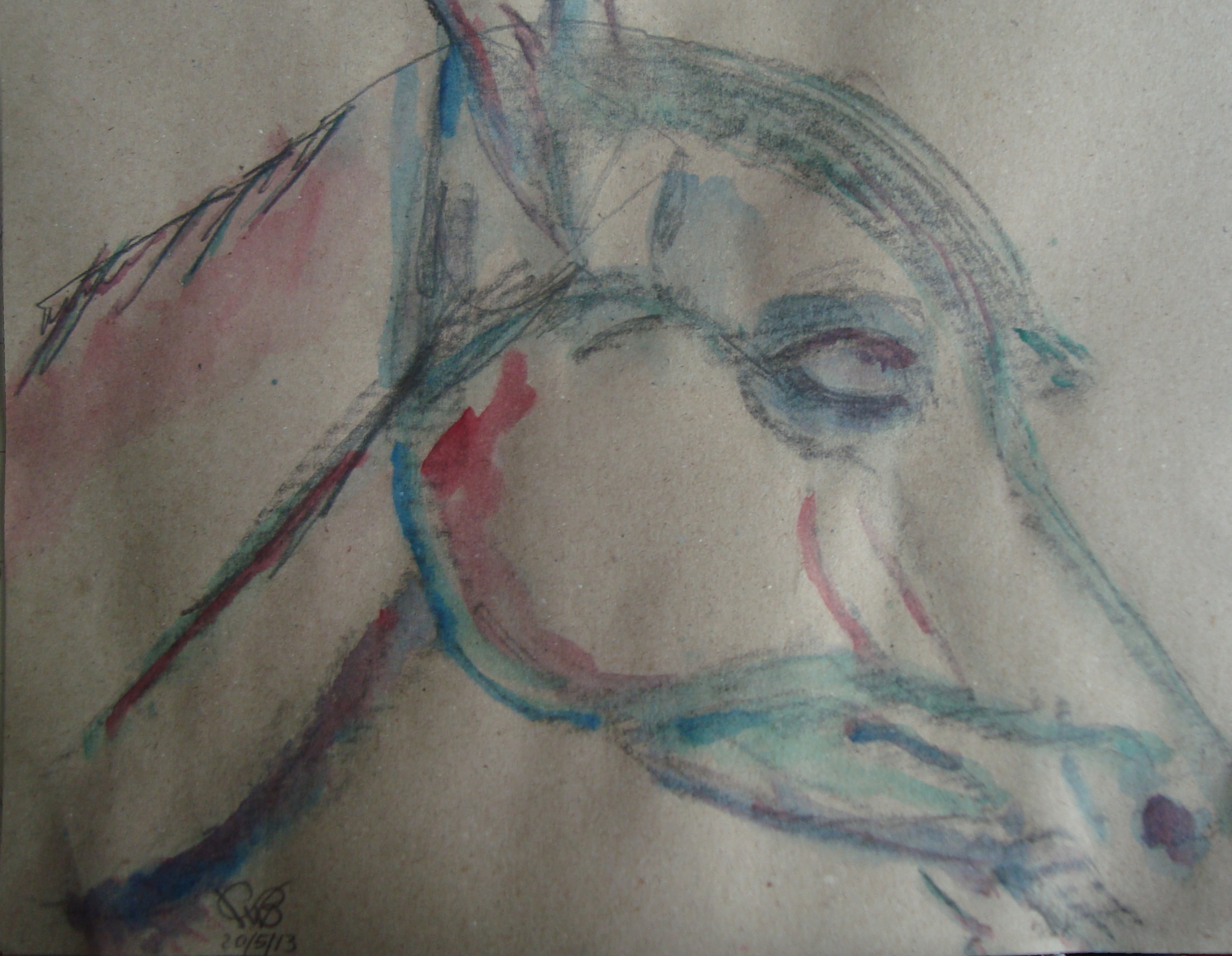 PferdAquarell